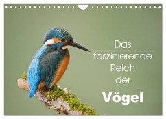 Das faszinierende Reich der Vögel (Wandkalender 2025 DIN A4 quer), CALVENDO Monatskalender