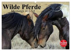 Wilde Pferde. Mustangs in USA (Wandkalender 2025 DIN A2 quer), CALVENDO Monatskalender