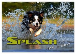 SPLASH - Hunde im Wasser (Wandkalender 2025 DIN A2 quer), CALVENDO Monatskalender