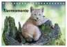 Tiermomente (Tischkalender 2025 DIN A5... - Bild 1