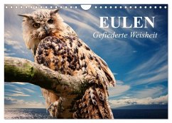 Eulen. Gefiederte Weisheit (Wandkalender 2025 DIN A4 quer), CALVENDO Monatskalender