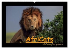 AfriCats (Wandkalender 2025 DIN A2 quer), CALVENDO Monatskalender