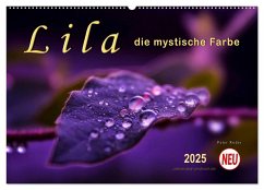 Lila - die mystische Farbe (Wandkalender 2025 DIN A2 quer), CALVENDO Monatskalender