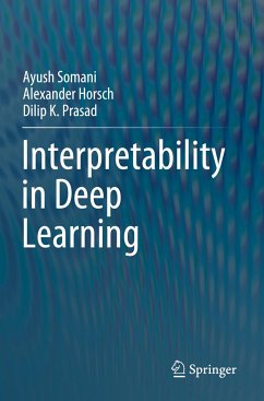 Interpretability in Deep Learning - Somani, Ayush;Horsch, Alexander;Prasad, Dilip K.