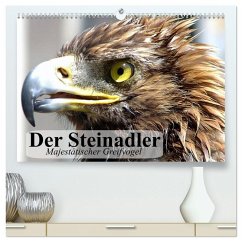 Der Steinadler. Majestätischer Greifvogel (hochwertiger Premium Wandkalender 2025 DIN A2 quer), Kunstdruck in Hochglanz - Calvendo;Stanzer, Elisabeth