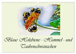 Blaue Holzbiene ¿ Hummel ¿ und Taubenschwänzchen. (Wandkalender 2025 DIN A3 quer), CALVENDO Monatskalender - Calvendo;Djeric, Dusanka