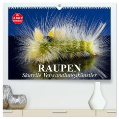 Raupen. Skurrile Verwandlungskünstler (hochwertiger Premium Wandkalender 2025 DIN A2 quer), Kunstdruck in Hochglanz - Calvendo;Stanzer, Elisabeth