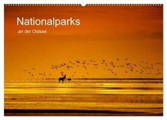 Nationalparks an der Ostsee (Wandkalender 2025 DIN A2 quer), CALVENDO Monatskalender