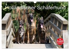 Holländischer Schäferhund (Wandkalender 2025 DIN A3 quer), CALVENDO Monatskalender - Calvendo;Verena Scholze, Fotodesign