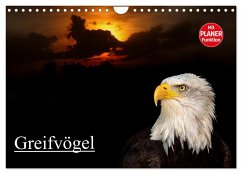 Greifvögel (Wandkalender 2025 DIN A4 quer), CALVENDO Monatskalender