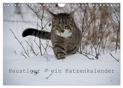 Haustiger - Ein Katzenkalender (Wandkalender 2025 DIN A4 quer), CALVENDO Monatskalender - Calvendo;Becker, J.