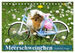 Meerschweinchen. Geliebte Nager (Tischkalender 2025 DIN A5 quer), CALVENDO Monatskalender