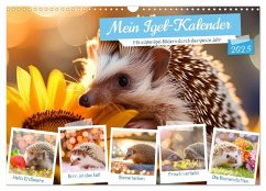 Mein Igel-Kalender (Wandkalender 2025 DIN A3 quer), CALVENDO Monatskalender