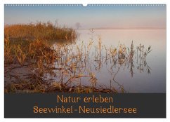 Natur erleben Seewinkel-Neusiedlersee (Wandkalender 2025 DIN A2 quer), CALVENDO Monatskalender - Calvendo;Schörkhuber, Johann