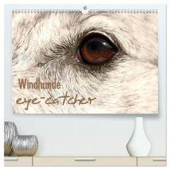 Windhunde eye-catcher (hochwertiger Premium Wandkalender 2025 DIN A2 quer), Kunstdruck in Hochglanz