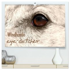 Windhunde eye-catcher (hochwertiger Premium Wandkalender 2025 DIN A2 quer), Kunstdruck in Hochglanz - Calvendo;Redecker, Andrea