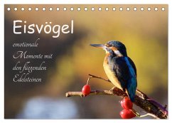 Eisvögel - emotionale Momente mit den fliegenden Edelsteinen (Tischkalender 2025 DIN A5 quer), CALVENDO Monatskalender - Calvendo;Kalanke, Jens