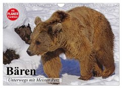 Bären. Unterwegs mit Meister Petz (Wandkalender 2025 DIN A4 quer), CALVENDO Monatskalender