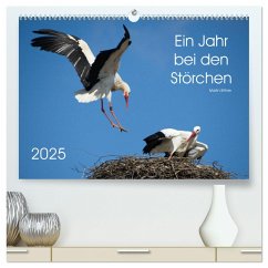 Ein Jahr bei den Störchen (hochwertiger Premium Wandkalender 2025 DIN A2 quer), Kunstdruck in Hochglanz