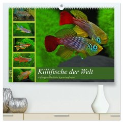 Killifische der Welt (hochwertiger Premium Wandkalender 2025 DIN A2 quer), Kunstdruck in Hochglanz