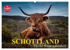 Schottland. Herbe Naturschönheit (Wandkalender 2025 DIN A2 quer), CALVENDO Monatskalender