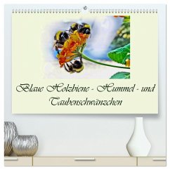 Blaue Holzbiene ¿ Hummel ¿ und Taubenschwänzchen. (hochwertiger Premium Wandkalender 2025 DIN A2 quer), Kunstdruck in Hochglanz - Calvendo;Djeric, Dusanka