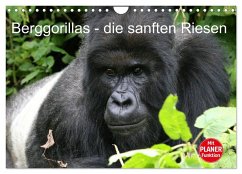 Berggorillas - die sanften Riesen (Wandkalender 2025 DIN A4 quer), CALVENDO Monatskalender