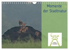 Wildes Ruhrgebiet - Momente der Stadtnatur (Wandkalender 2025 DIN A4 quer), CALVENDO Monatskalender