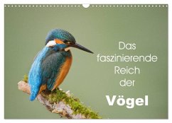 Das faszinierende Reich der Vögel (Wandkalender 2025 DIN A3 quer), CALVENDO Monatskalender - Calvendo;Schörkhuber, Johann