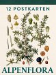 Alpenflora - Bild 1