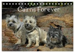 Cairns Forever (Tischkalender 2025 DIN A5 quer), CALVENDO Monatskalender