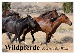 Wildpferde. Frei wie der Wind (Wandkalender 2025 DIN A2 quer), CALVENDO Monatskalender