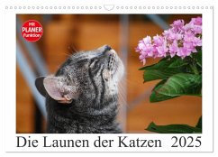 Die Launen der Katzen 2025 (Wandkalender 2025 DIN A3 quer), CALVENDO Monatskalender - Calvendo;Kropf, Anna