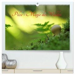Pilze - Magie des Waldes (hochwertiger Premium Wandkalender 2025 DIN A2 quer), Kunstdruck in Hochglanz