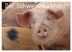 Der Schweinekalender (Wandkalender 2025 DIN A2 quer), CALVENDO Monatskalender - Calvendo;Schmutzler-Schaub, Christine