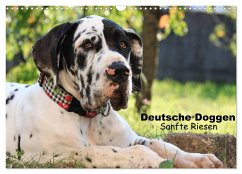 Deutsche Doggen - Sanfte Riesen (Wandkalender 2025 DIN A3 quer), CALVENDO Monatskalender - Calvendo;Reiß - Seibert, Marion