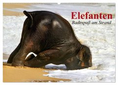 Elefanten. Badespaß am Strand (Wandkalender 2025 DIN A2 quer), CALVENDO Monatskalender