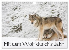 Mit dem Wolf durch's Jahr (Wandkalender 2025 DIN A4 quer), CALVENDO Monatskalender