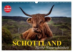 Schottland. Herbe Naturschönheit (Wandkalender 2025 DIN A3 quer), CALVENDO Monatskalender
