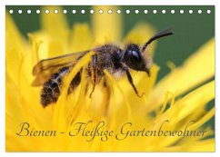 Bienen - Fleißige Gartenbewohner (Tischkalender 2025 DIN A5 quer), CALVENDO Monatskalender - Calvendo;Hahnefeld, Silvia