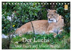 Der Luchs - Der Jäger auf leisen Pfoten (Tischkalender 2025 DIN A5 quer), CALVENDO Monatskalender - Calvendo;Klatt, Arno