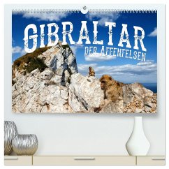 Gibraltar - der Affenfelsen (hochwertiger Premium Wandkalender 2025 DIN A2 quer), Kunstdruck in Hochglanz
