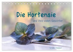 Die Hortensie und ihre vielen Gesichter (Tischkalender 2025 DIN A5 quer), CALVENDO Monatskalender