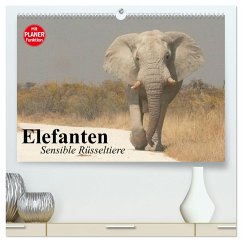 Elefanten. Sensible Rüsseltiere (hochwertiger Premium Wandkalender 2025 DIN A2 quer), Kunstdruck in Hochglanz