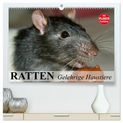 Ratten. Gelehrige Haustiere (hochwertiger Premium Wandkalender 2025 DIN A2 quer), Kunstdruck in Hochglanz - Calvendo;Stanzer, Elisabeth