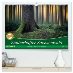 Zauberhafter Sachsenwald (hochwertiger Premium Wandkalender 2025 DIN A2 quer), Kunstdruck in Hochglanz