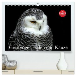 Greifvögel, Eulen und Käuze (hochwertiger Premium Wandkalender 2025 DIN A2 quer), Kunstdruck in Hochglanz - Calvendo;Klatt, Arno