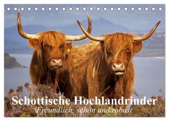 Schottische Hochlandrinder. Freundlich, schön und robust (Tischkalender 2025 DIN A5 quer), CALVENDO Monatskalender