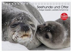 Seehunde und Otter. Putzige Gesellen, perfekte Schwimmer (Tischkalender 2025 DIN A5 quer), CALVENDO Monatskalender