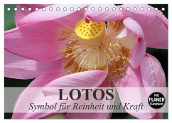 Lotos. Symbol für Reinheit und Kraft (Tischkalender 2025 DIN A5 quer), CALVENDO Monatskalender - Calvendo;Stanzer, Elisabeth